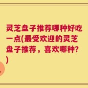 灵芝盘子推荐哪种好吃一点(最受欢迎的灵芝盘子推荐，喜欢哪种？)