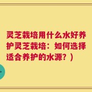 灵芝栽培用什么水好养护灵芝栽培：如何选择适合养护的水源？)