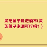 灵芝菌子能泡酒不(灵芝菌子泡酒可行吗？)
