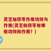 灵芝加茯苓作用功效与作用(灵芝和茯苓有哪些功效和作用？)