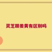 灵芝跟姜黄有区别吗