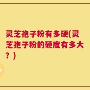 灵芝孢子粉有多硬(灵芝孢子粉的硬度有多大？)