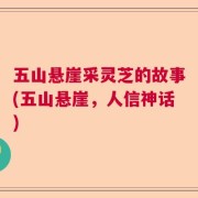 五山悬崖采灵芝的故事(五山悬崖，人信神话)