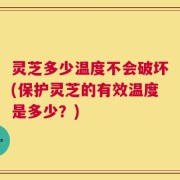 灵芝多少温度不会破坏(保护灵芝的有效温度是多少？)
