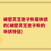 破壁灵芝孢子粉是块状的(破壁灵芝孢子粉的块状特征)