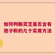 如何判断灵芝是否含有孢子粉的几个实用方法
