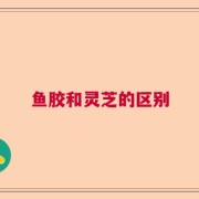 鱼胶和灵芝的区别