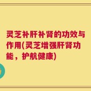 灵芝补肝补肾的功效与作用(灵芝增强肝肾功能，护航健康)