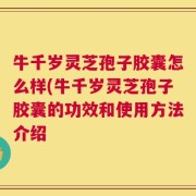 牛千岁灵芝孢子胶囊怎么样(牛千岁灵芝孢子胶囊的功效和使用方法介绍