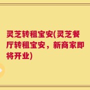 灵芝转租宝安(灵芝餐厅转租宝安，新商家即将开业)
