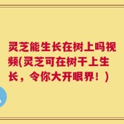 灵芝能生长在树上吗视频(灵芝可在树干上生长，令你大开眼界！)