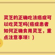 灵芝的正确吃法癌症可以吃灵芝吗(癌症患者如何正确食用灵芝，重点注意事项！)