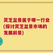 灵芝盆景属于哪一行业(探讨灵芝盆景市场的发展前景)
