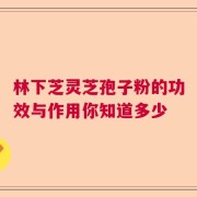 林下芝灵芝孢子粉的功效与作用你知道多少