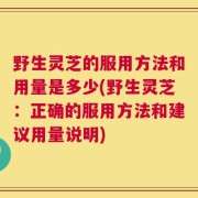 野生灵芝的服用方法和用量是多少(野生灵芝：正确的服用方法和建议用量说明)