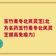 玉竹麦冬北芪灵芝(北方名药玉竹麦冬北芪灵芝提高免疫力)