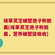 缘草灵芝破壁孢子粉胶囊(缘草灵芝孢子粉胶囊，营养破壁促吸收)