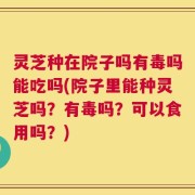 灵芝种在院子吗有毒吗能吃吗(院子里能种灵芝吗？有毒吗？可以食用吗？)