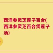 西洋参灵芝莲子百合(西洋参灵芝百合煲莲子汤)