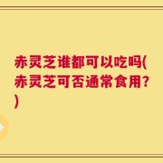 赤灵芝谁都可以吃吗(赤灵芝可否通常食用？)