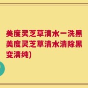 美度灵芝草清水一洗黑美度灵芝草清水清除黑变清纯)