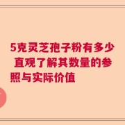 5克灵芝孢子粉有多少 直观了解其数量的参照与实际价值