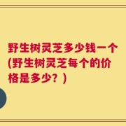 野生树灵芝多少钱一个(野生树灵芝每个的价格是多少？)