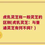 虎乳灵芝和一般灵芝的区别(虎乳灵芝：与普通灵芝有何不同？)