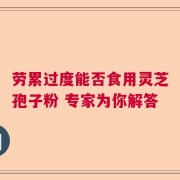 劳累过度能否食用灵芝孢子粉 专家为你解答