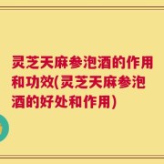 灵芝天麻参泡酒的作用和功效(灵芝天麻参泡酒的好处和作用)
