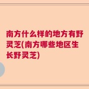 南方什么样的地方有野灵芝(南方哪些地区生长野灵芝)