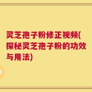 灵芝孢子粉修正视频(探秘灵芝孢子粉的功效与用法)