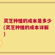 灵芝种植的成本是多少(灵芝种植的成本详解)