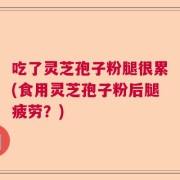 吃了灵芝孢子粉腿很累(食用灵芝孢子粉后腿疲劳？)