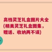 高档灵芝礼盒图片大全(精美灵芝礼盒图集，赠送、收纳两不误)
