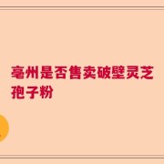亳州是否售卖破壁灵芝孢子粉