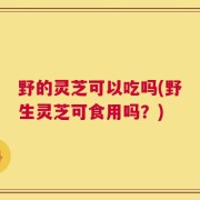 野的灵芝可以吃吗(野生灵芝可食用吗？)