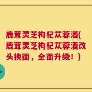 鹿茸灵芝枸杞苁蓉酒(鹿茸灵芝枸杞苁蓉酒改头换面，全面升级！)