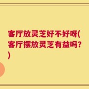 客厅放灵芝好不好呀(客厅摆放灵芝有益吗？)