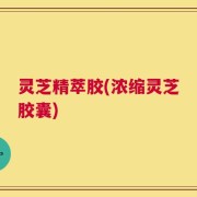 灵芝精萃胶(浓缩灵芝胶囊)