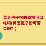 灵芝孢子粉的原粉可以吃吗(灵芝孢子粉可否口服？)