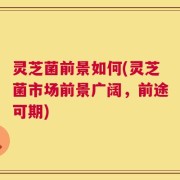 灵芝菌前景如何(灵芝菌市场前景广阔，前途可期)