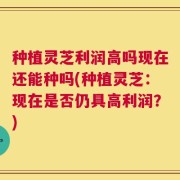 种植灵芝利润高吗现在还能种吗(种植灵芝：现在是否仍具高利润？)