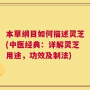 本草纲目如何描述灵芝(中医经典：详解灵芝用途，功效及制法)