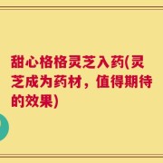 甜心格格灵芝入药(灵芝成为药材，值得期待的效果)