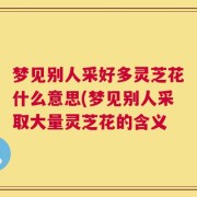 梦见别人采好多灵芝花什么意思(梦见别人采取大量灵芝花的含义