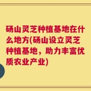砀山灵芝种植基地在什么地方(砀山设立灵芝种植基地，助力丰富优质农业产业)