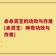 赤赤灵芝的功效与作用(赤灵芝：神奇功效与作用)