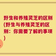 野生和养殖灵芝的区别(野生与养殖灵芝的区别：你需要了解的事项)