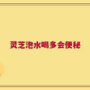 灵芝泡水喝多会便秘